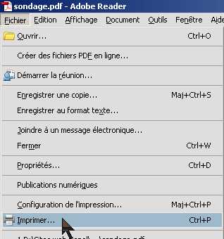 menu fichier imprimer, ne pas utiliser l'icône